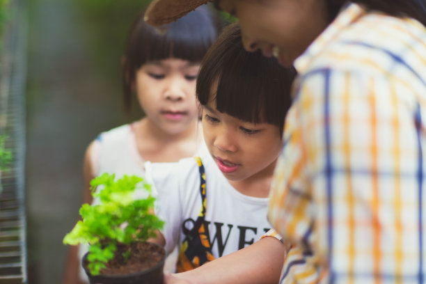 可爱的女孩帮助她的妈妈照顾植物。母亲教女儿如何在温室盆栽种植植物。家庭小生意。图片下载