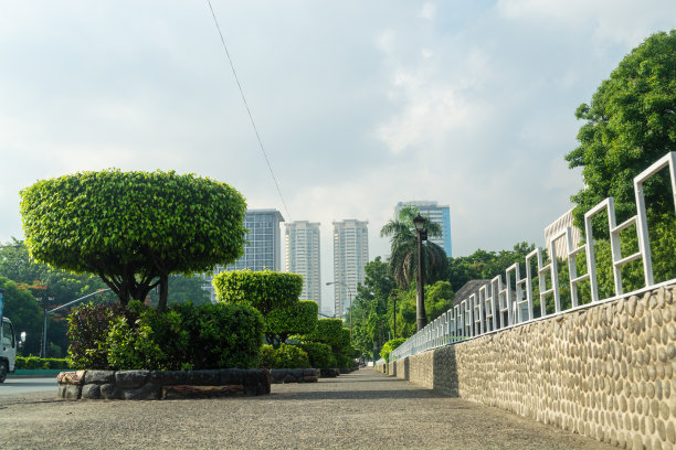 在菲律宾马尼拉的黎刹公园，沿着Abenida Maria Orosa雕刻的灌木图片下载