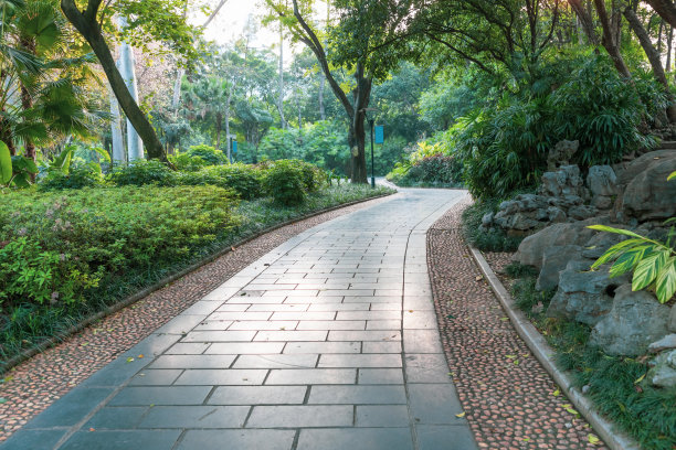 公园小径图片下载