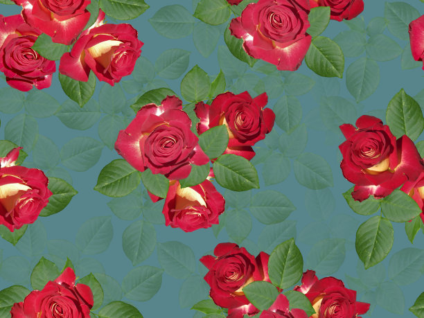无缝图案与红玫瑰和树叶。图片下载