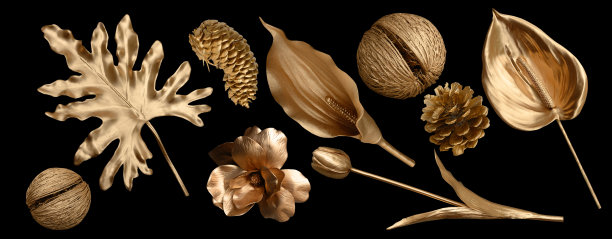 热带树叶呈金色和黑色，可作为背景(海苔、棕榈、椰子)蕨类植物图片下载