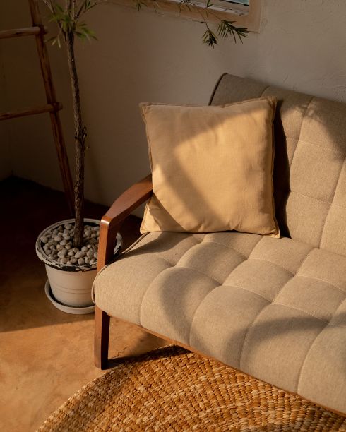 靠近一株带花盆的小植物的长椅图片下载