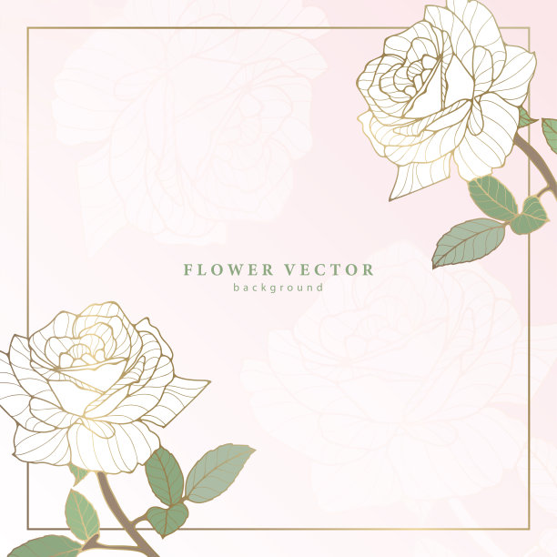方形精致的花卉背景与白玫瑰和金色的笔触。花框架的照片，文字，文凭，明信片和演讲图片下载