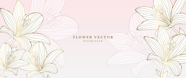淡花抽象背景与金色百合。背景装饰，封面，明信片，名片，社交媒体帖子，壁纸。花框架的照片或文字图片下载