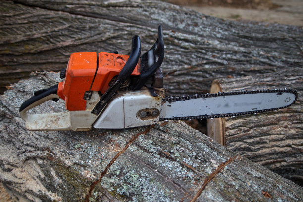 伐木工工具，伐木工工具图片下载