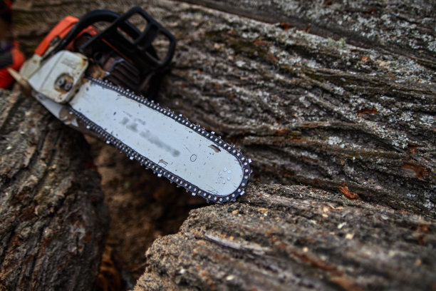 伐木工工具，伐木工工具图片下载