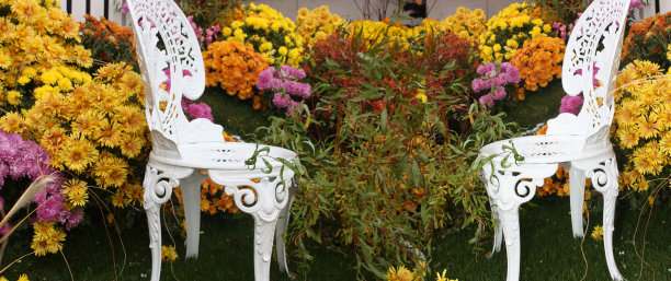 秋天的花园花园椅子花园扶手椅图片下载