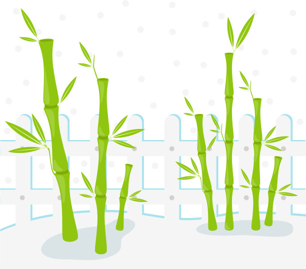 白色背景上的竹子插图图片下载
