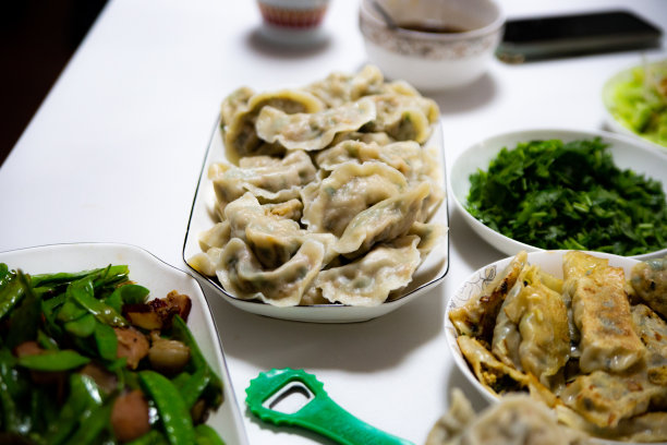 特写的蒸和炒饺子和其他蔬菜中国菜。图片下载