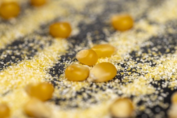 煮玉米粥用的黄色玉米粒粉图片下载