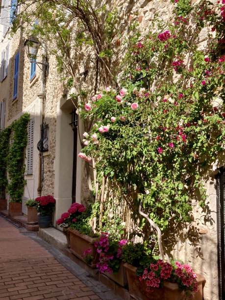 法国- Côte d 'Azur - Antibes -老城区的小街图片下载