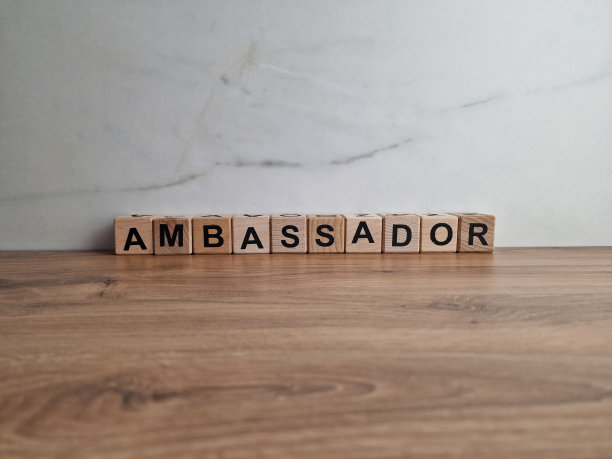 大使的话来自木块图片下载