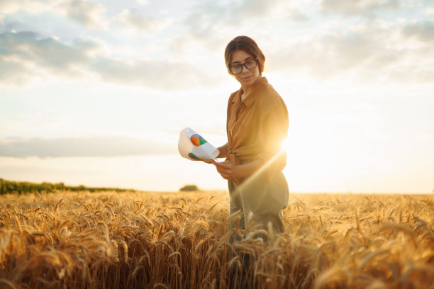 一位农妇在麦田里检查收成。图片下载