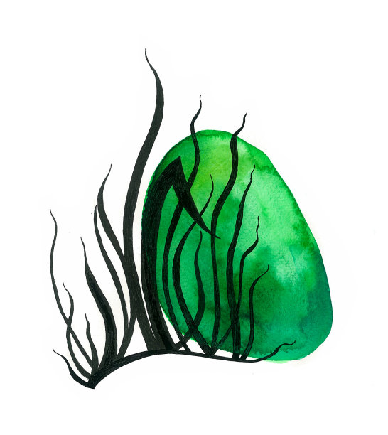 在白色背景上有黑色轮廓的草。部分与水彩模糊的绿色斑点重叠。图片下载