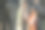 泰国美女穿着传统北方风格的大象，描绘了亚洲人与大象的关系图片下载