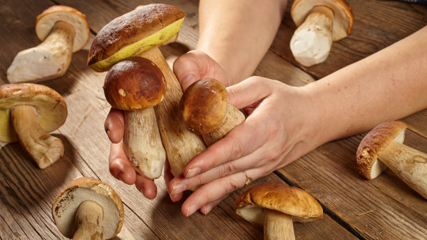 煮野蘑菇。图片下载