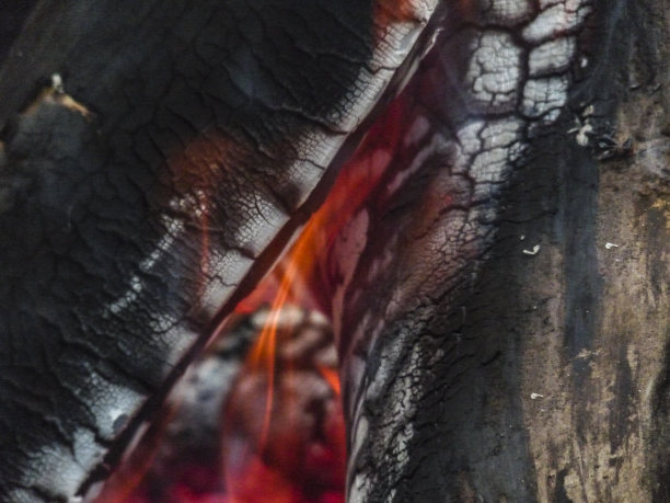 燃烧的木头特写图片下载
