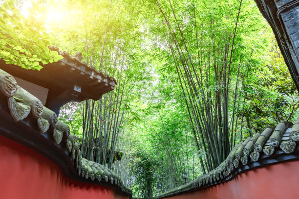 中国四川成都著名景点，古典红墙青竹林图片下载