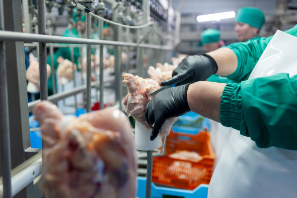 养鸡场工业流水线设备图片下载