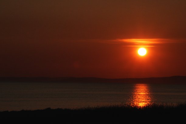日落时的艾尔郡野生动物，鹿，水母。图片下载