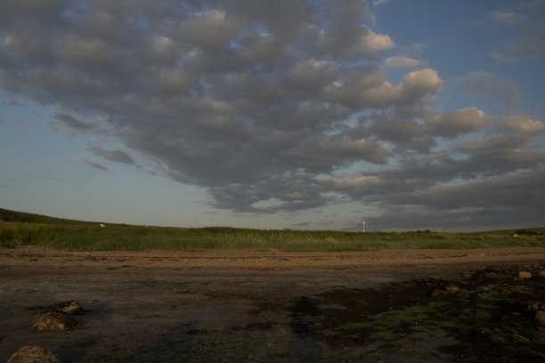 日落时的艾尔郡野生动物，鹿，水母。图片下载
