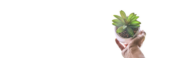 横幅。一个女人的手拿着一个花盆。现代圆形花盆中的多肉植物，突出显示在白色背景上。一种带有砂岩的时髦室内植物。高质量照片图片下载