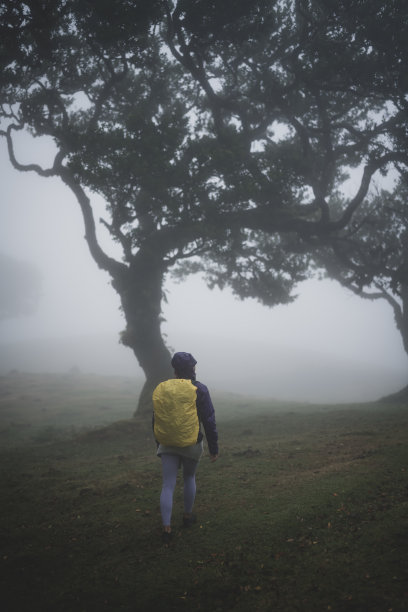 一个背包客的后景，穿着防雨的衣服，穿过有大月桂树的雾蒙蒙的森林。法纳尔森林，马德拉岛，葡萄牙，欧洲。图片下载