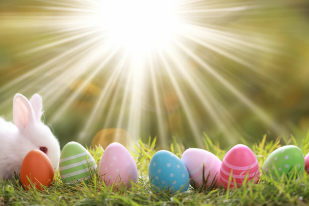 各种颜色的复活节彩蛋在绿色的草地与白色可爱的兔子与阳光图片下载