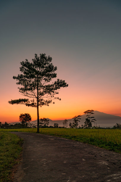 日出时印尼乡村全景图片下载