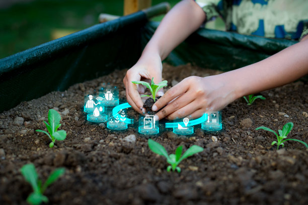 手持苗木种植与植物生长因子图标。智能农业。图片下载