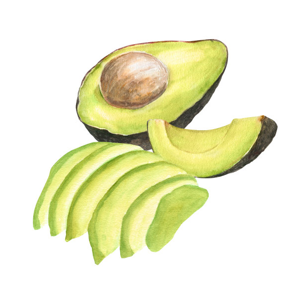 水彩植物插图鳄梨的鱼叉和切鳄梨与坑，孤立图片下载