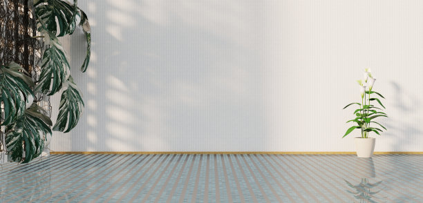 地板和墙壁的场景与树叶在房子空房间的3D插图图片下载