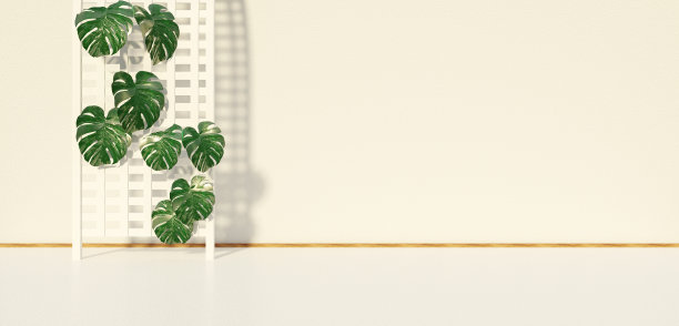 地板和墙壁的场景与树叶在房子空房间的3D插图图片下载