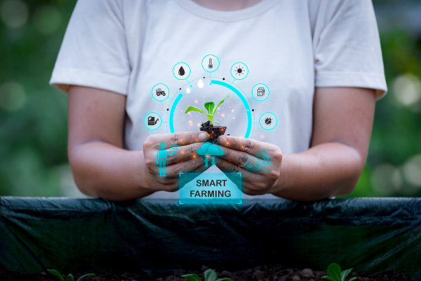 手持苗木种植与植物生长因子图标。智能农业。图片下载