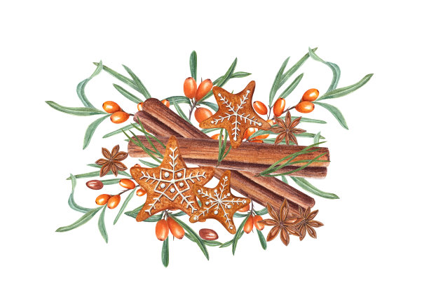 水彩传统圣诞姜饼星形饼干与沙棘枝，肉桂棒和八角孤立在白色背景。手绘插图图片下载