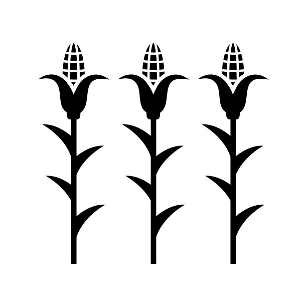 农业，玉米地，农作物图标。图片下载