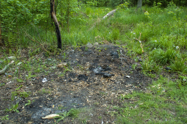 森林里有一堆燃尽的火的地方。野火危险和野生动物破坏。自然保育主题插画。图片下载
