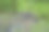 森林里有一堆燃尽的火的地方。野火危险和野生动物破坏。自然保育主题插画。图片下载