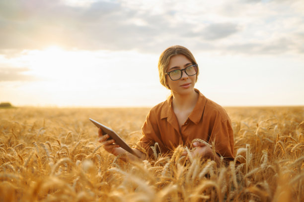 麦田里的农妇图片下载