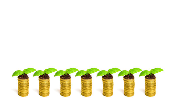 白色上的一排带有幼苗的硬币堆图片下载