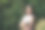 美女在自然公园用数码相机摄影图片下载