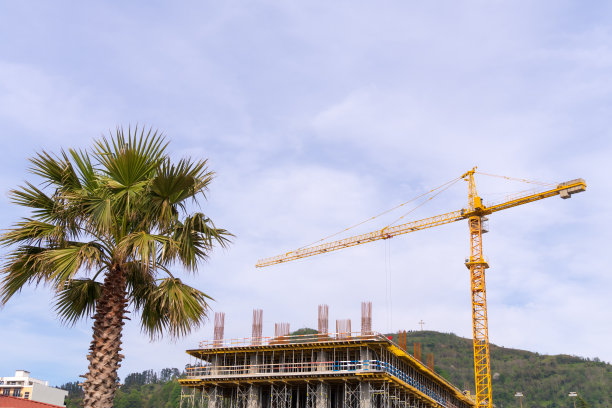 建筑特写，建筑起重机，棕榈树，背景是山和天空图片下载