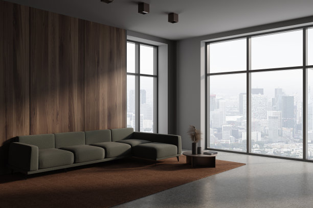 黑暗的家放松处内部以沙发和装饰物、窗户和空墙图片下载