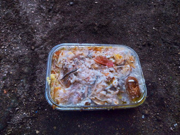 把有机食物垃圾放在地上的塑料容器里。图片下载