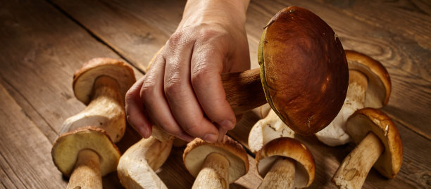 煮野蘑菇。图片下载