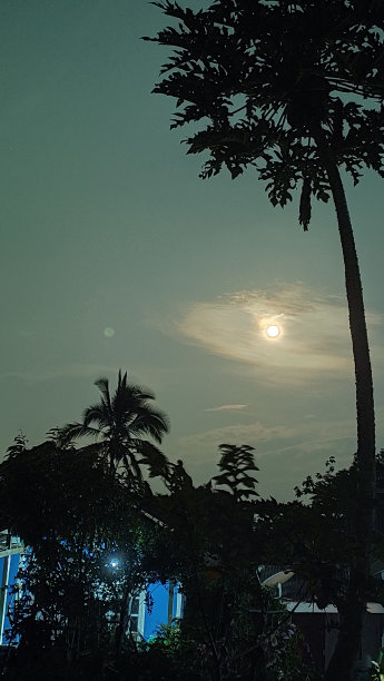 非常漂亮的夜晚月亮的照片图片下载