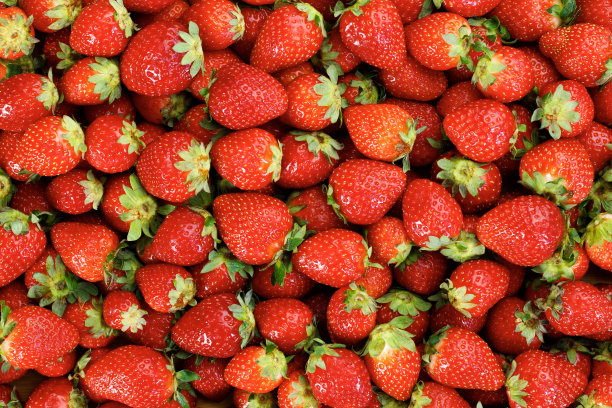 有机草莓图片下载