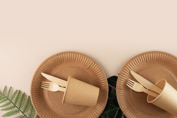 一次性环保餐饮用竹制餐具，生态餐具，可生物降解生态有机纸板，木制刀叉，纸杯，环保，生态包装图片下载