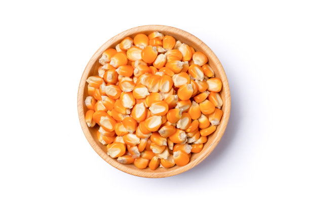 玉米粒或干玉米种子图片下载