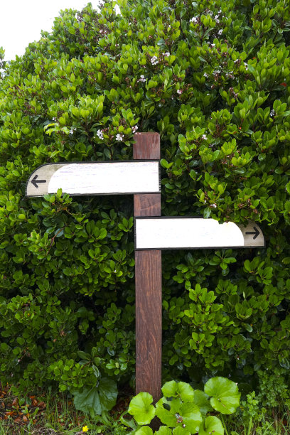 空白方向标志图片下载